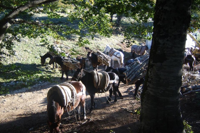 A caballo en la campiña de Abruzzo